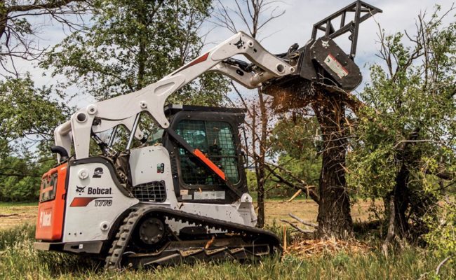 Forestry Cutter