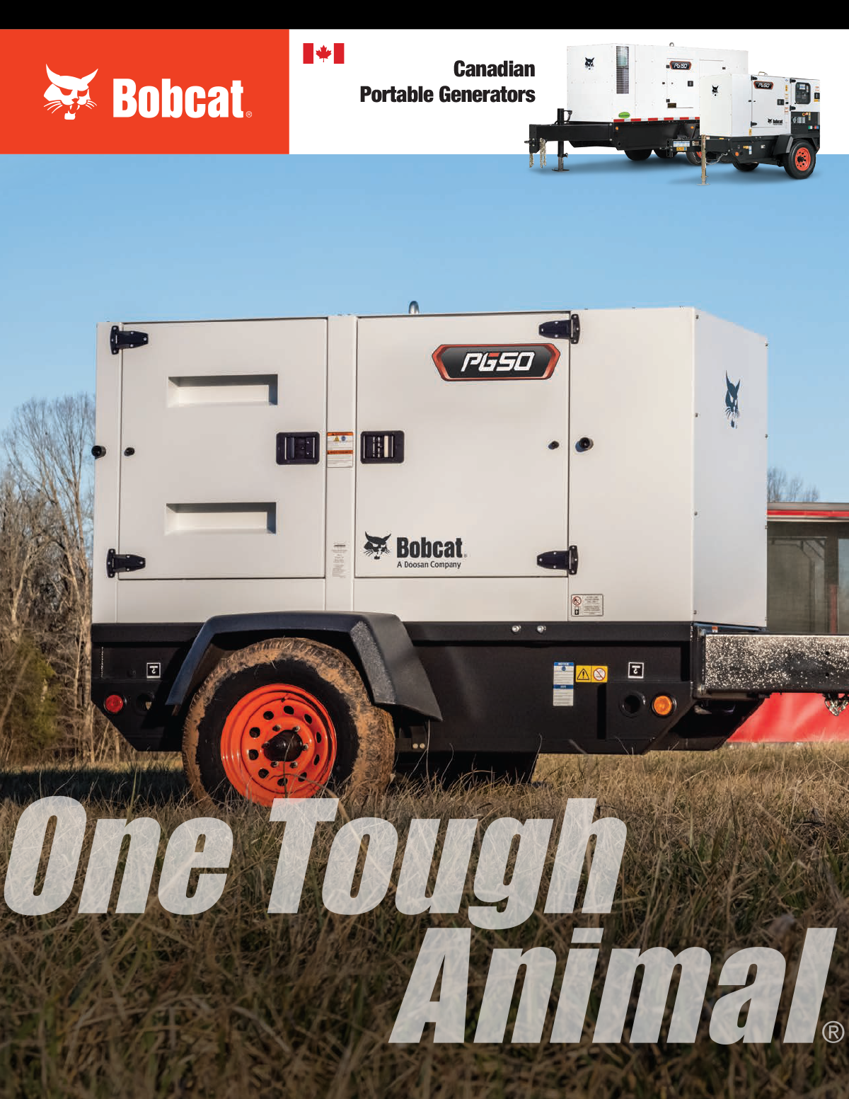 Bobcat Portable Generators Literature