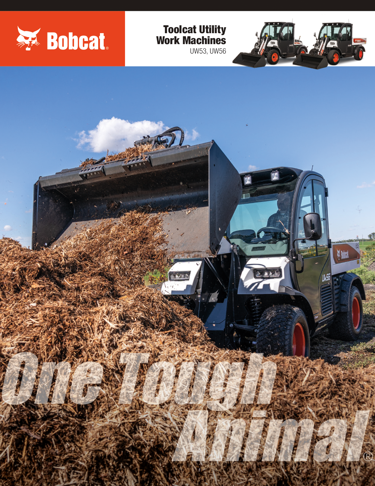 Bobcat Toolcat Work Machine Brochure