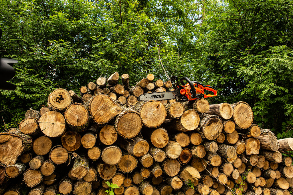 ECHO CS-2511PN Chainsaw