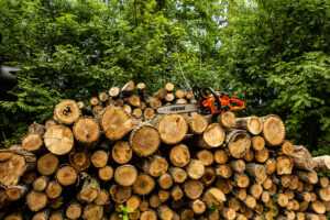 ECHO CS-2511PN Chainsaw