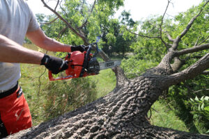 ECHO CS-4510 Chainsaw