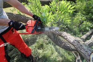 ECHO CS-4510 Chainsaw
