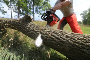 ECHO CS-590 Timber Wolf Chainsaw