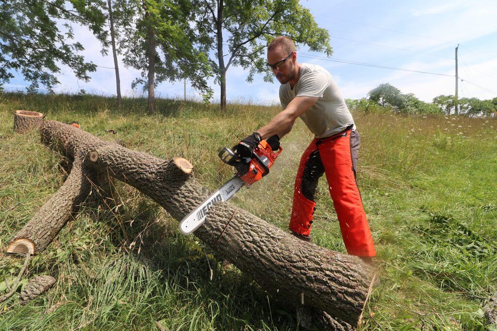 ECHO CS-590 Timber Wolf Chainsaw