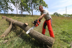 ECHO CS-590 Timber Wolf Chainsaw