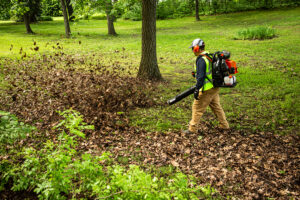 ECHO PB-9010T Backpack Blower