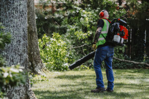 ECHO PB-9010T Backpack Blower