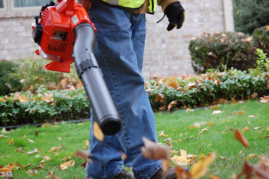 ECHO PB-2520 Handheld Blower