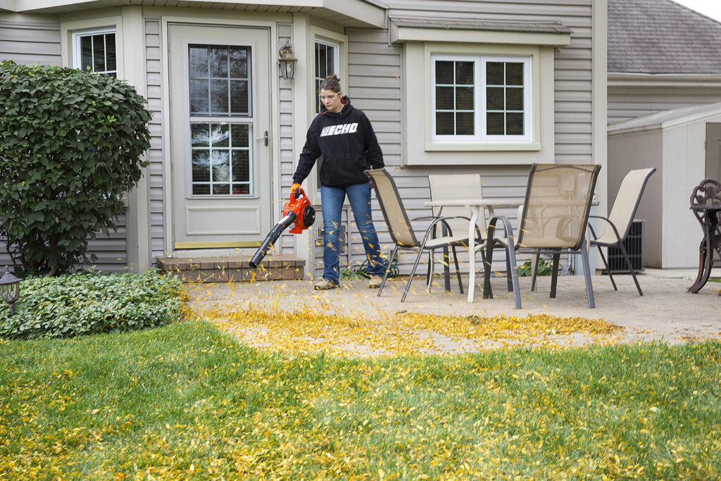ECHO PB-2520 Handheld Blower