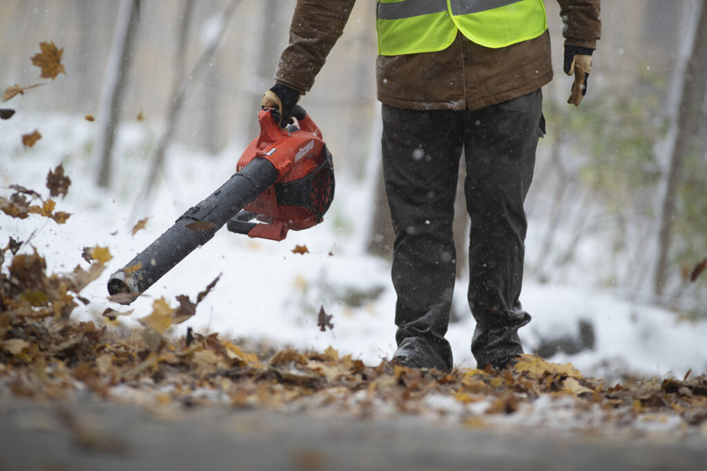 ECHO PB-2520 Handheld Blower
