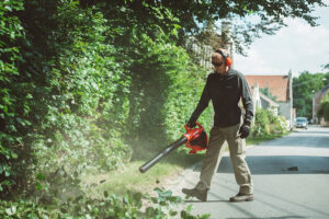 ECHO PB-2520 Handheld Blower
