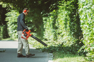 ECHO PB-2520 Handheld Blower