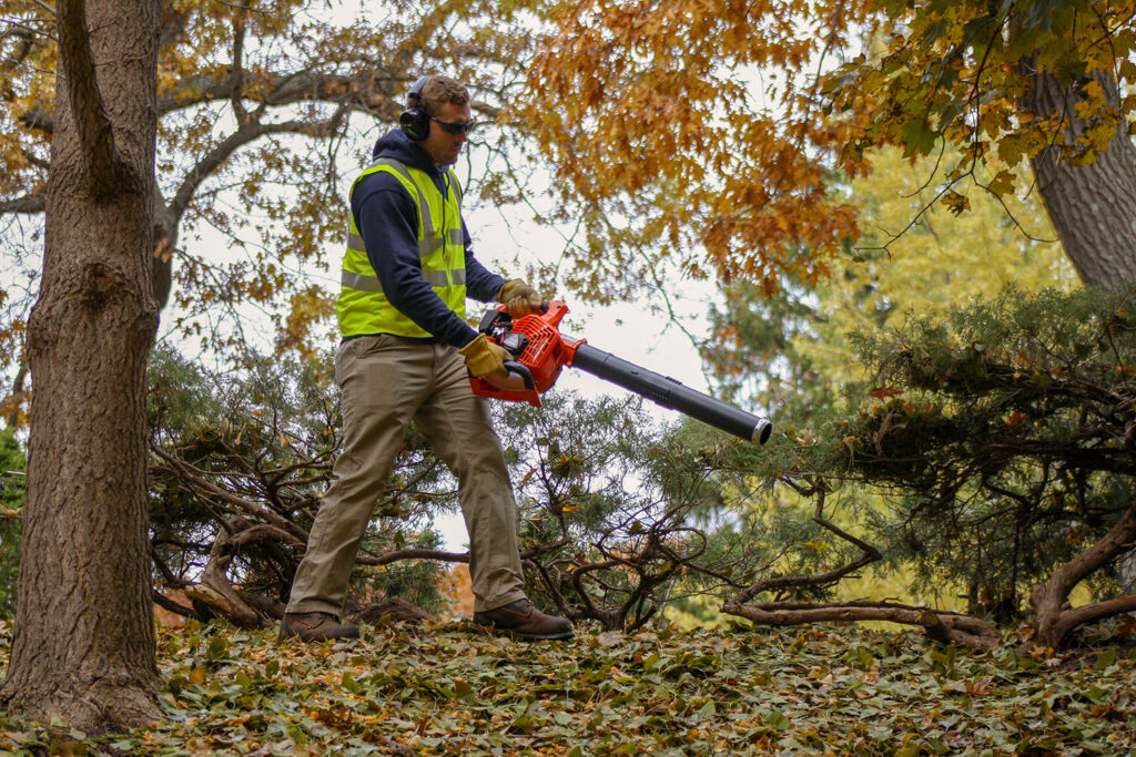 ECHO PB-2620 Handheld Blower