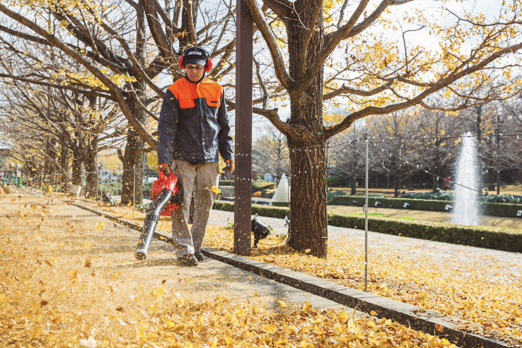ECHO PB-2620 Handheld Blower