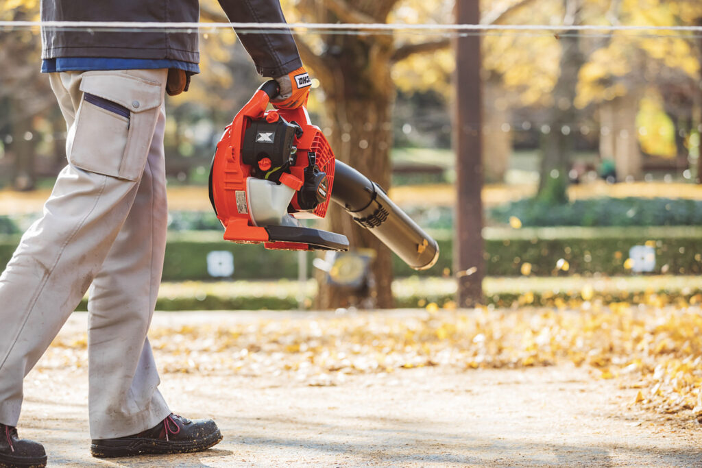 ECHO PB-2620 Handheld Blower