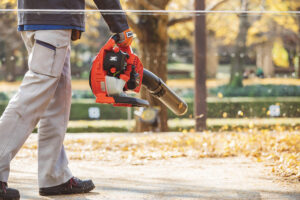 ECHO PB-2620 Handheld Blower
