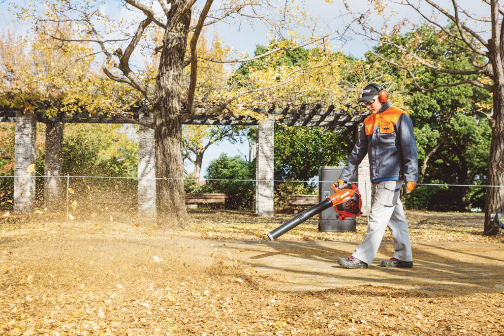 ECHO PB-2620 Handheld Blower