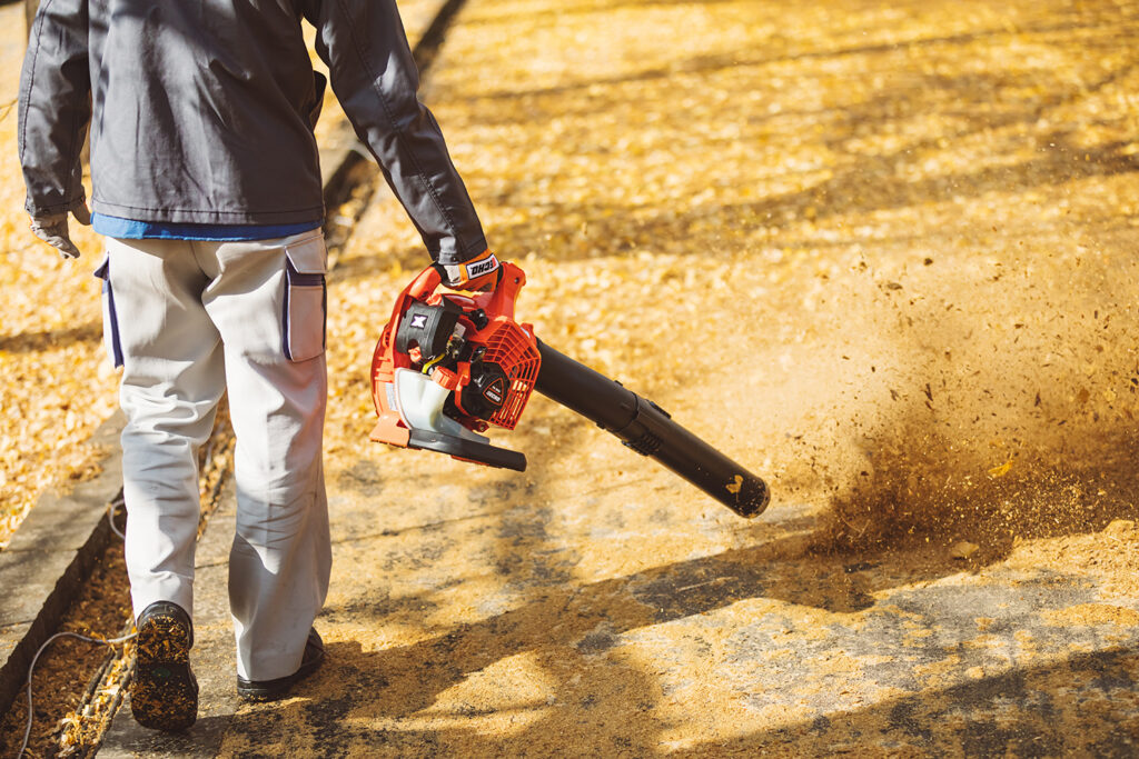 ECHO PB-2620 Handheld Blower
