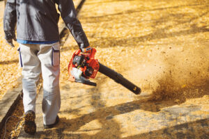 ECHO PB-2620 Handheld Blower