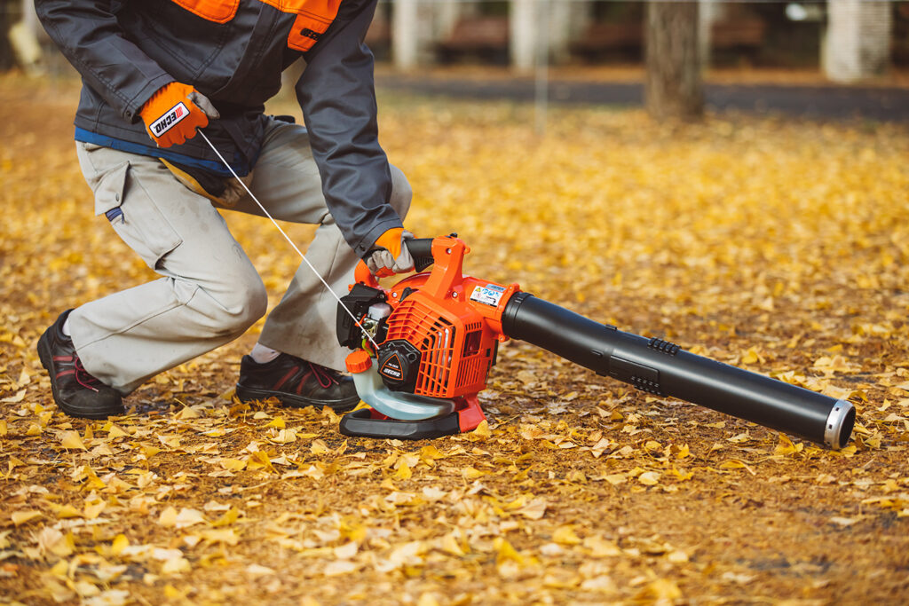 ECHO PB-2620 Handheld Blower