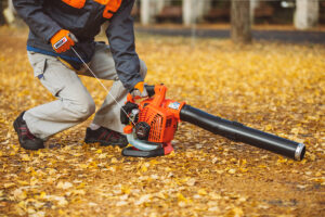 ECHO PB-2620 Handheld Blower