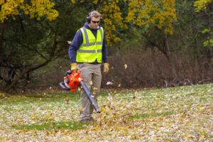 ECHO PB-2620 Handheld Blower