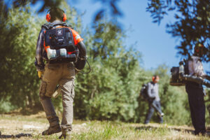 ECHO PB-770T Backpack Blower