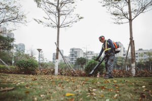ECHO PB-770T Backpack Blower