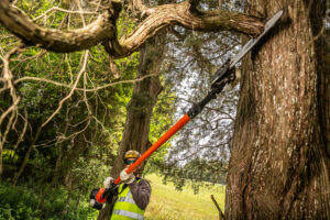 ECHO PPT-2620 Power Pruner