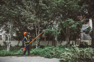 ECHO PPT-2620 Power Pruner