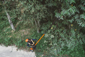 ECHO PPT-2620 Power Pruner